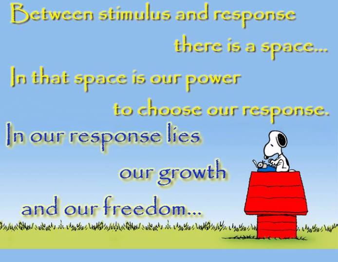 996029_364947596973320_553241058_n